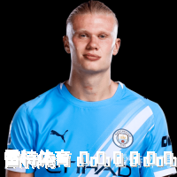 埃尔林&middot;哈兰德