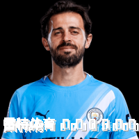 贝尔纳多&middot;席尔瓦