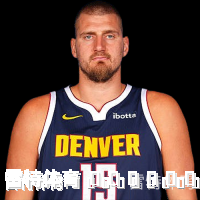 尼古拉&middot;约基奇
