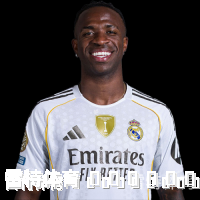 维尼修斯