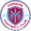 龙仁FC