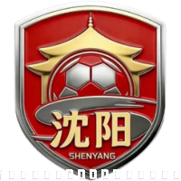 沈阳队