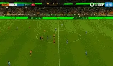 狼队 vs 维尔港 全场录像