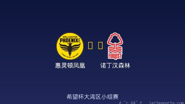 惠灵顿凤凰 vs 诺丁汉森林 全场录像