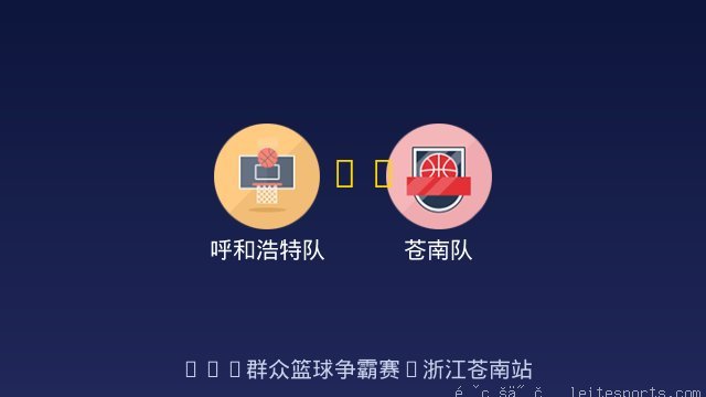 苍南队